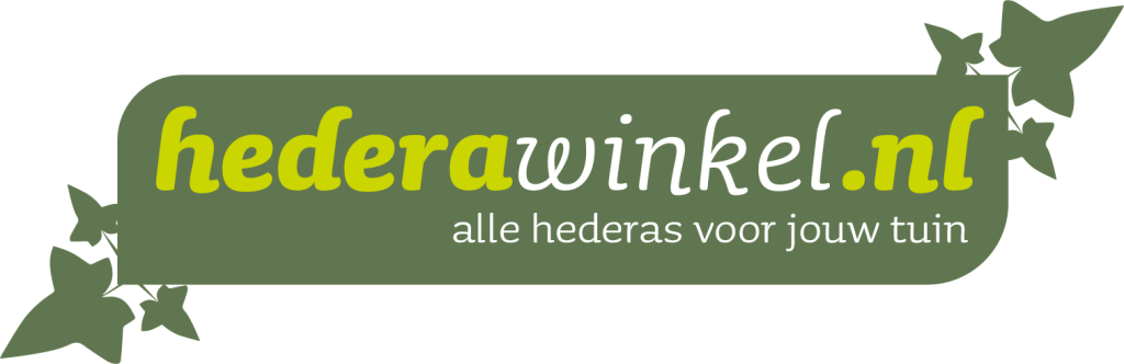 322131c6-f7cb-4b3b-9d5d-3abdd393736f