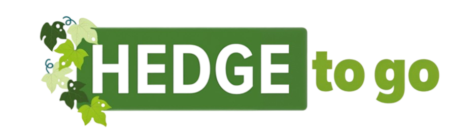 UniversalUpscaler_a8678e4e-fd4e-404d-8ab2-1ad1e4875faf-removebg-preview